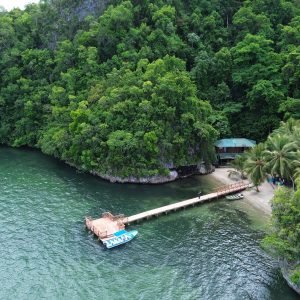 Los Haitises National Park MontaΓ±a Redonda Tour from Miches