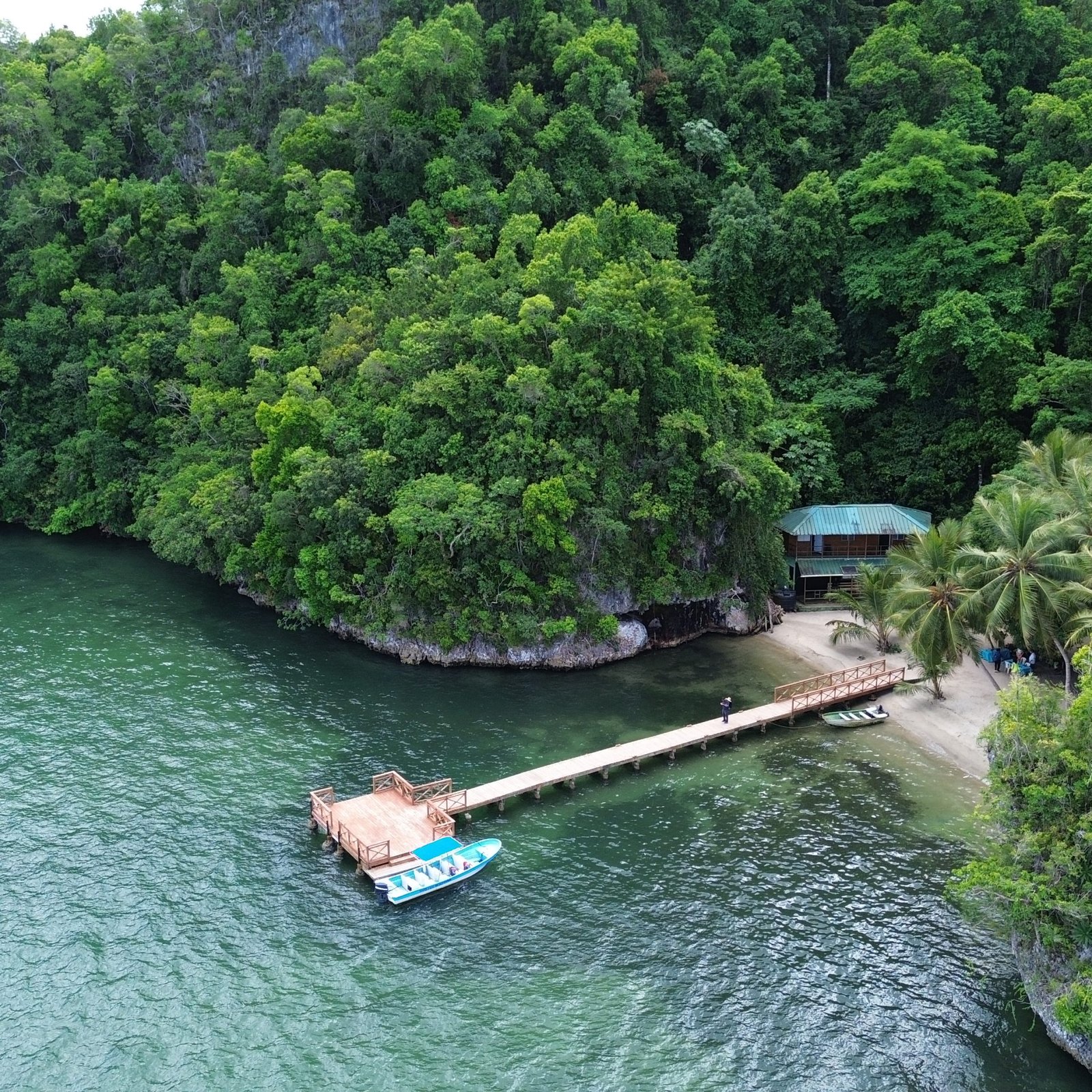 Los Haitises National Park Montaña Redonda Tour from Miches