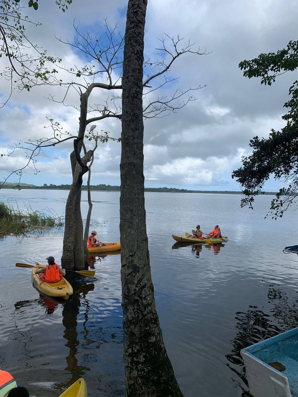 Explore Miches: Mountain, Cacao & Kayak Adventure
